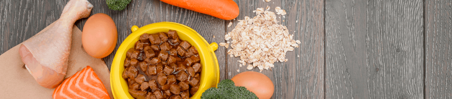 Cat Nutrition Food and Importance of Protein for Cat