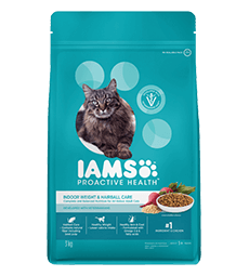 cat dry food