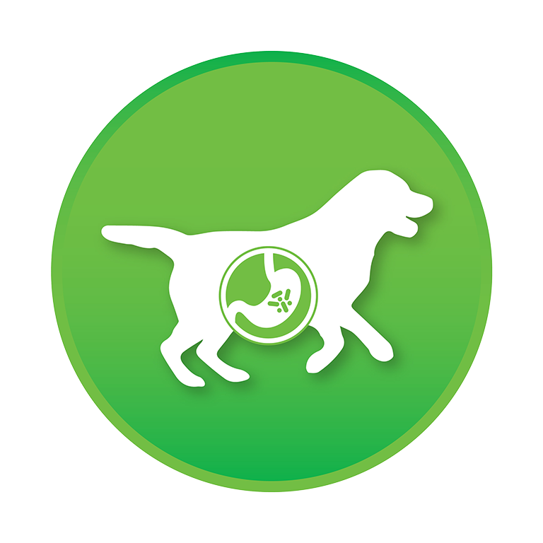 <p><strong>REDUCES AMMONIA LEVEL &amp; FAECAL ODOUR</strong><br>Bacillus Subtilis helps degrade organic matter in the feces, reduce ammonia production and fecal odor.</p>
