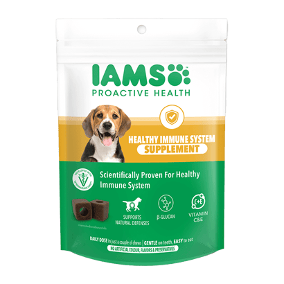 Healthy Immune System Supplement
