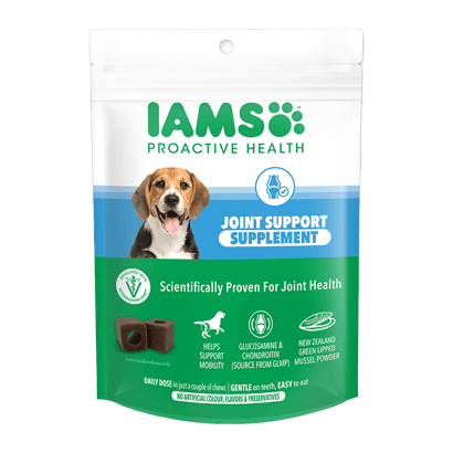 Joint Support Supplement