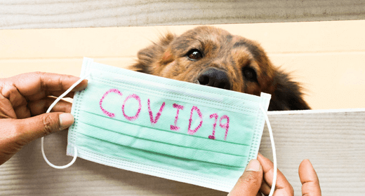 Our Response to COVID-19