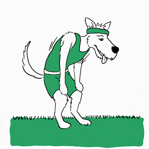 Why Do Dogs Pant?